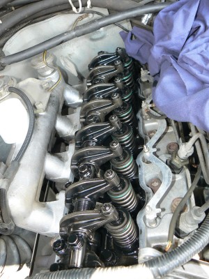 P1130099#.JPG