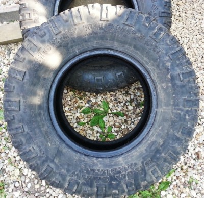 20130623_173249.jpg