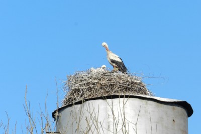 DSCN3577.JPG