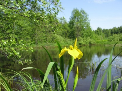 IMG_00.JPG