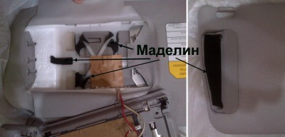 Маделин на козырек.jpg
