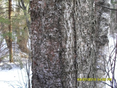 SDC10319.JPG