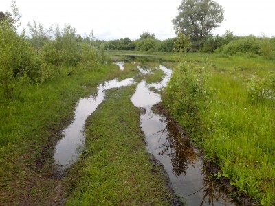 дорога в Кротово
