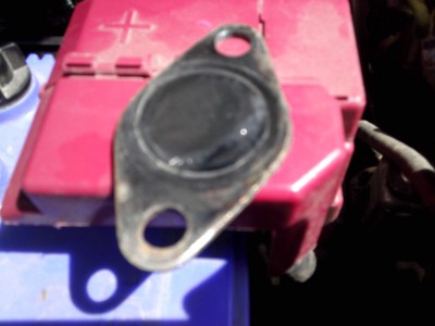 IMG00020.jpg