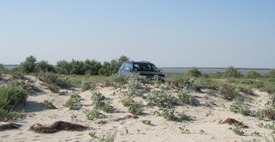 IMG_2119.JPG