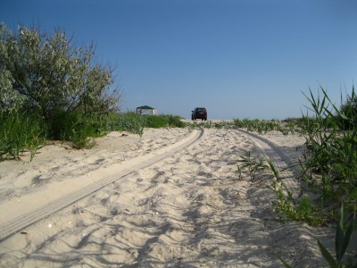 падж 052.JPG