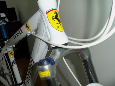 F1.jpg
