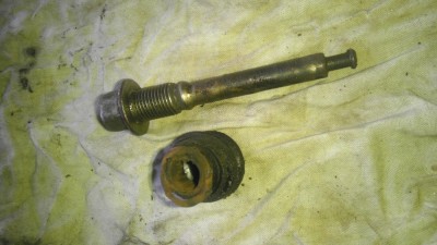 IMAG1004.jpg