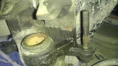 IMAG1009.jpg