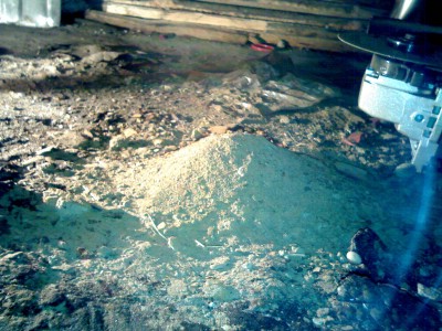 IMG055.jpg