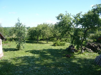 P1020038.jpg