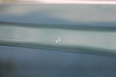 IMG_7119.JPG