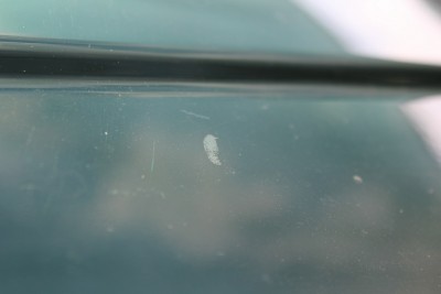 IMG_7124.JPG