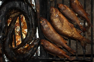 IMG_3918.JPG