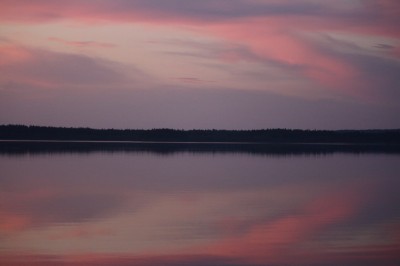 IMG_3731.JPG