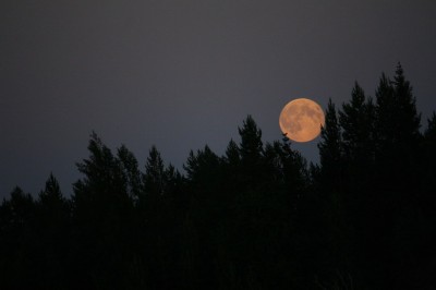 IMG_3634.JPG