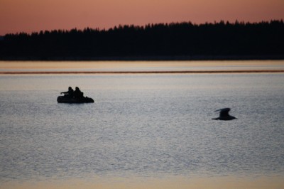 IMG_3521.JPG
