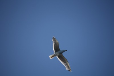 IMG_3441.JPG
