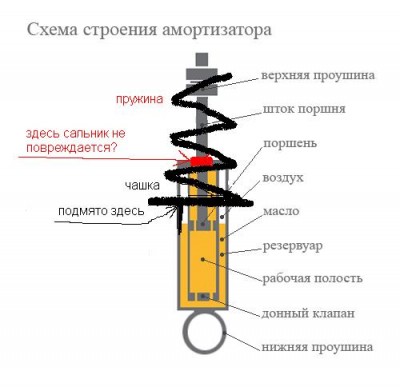 аморт.jpg