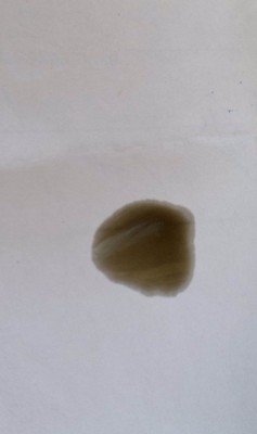 Pict.1783_1.jpg