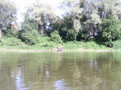 PIC_0174.JPG
