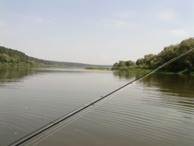 PIC_0206.JPG