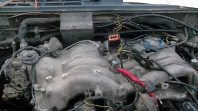 DSCF5066.JPG
