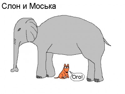 Слон.jpg
