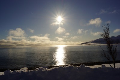 За бортом -35, но море не замерзает. Гольфстрим