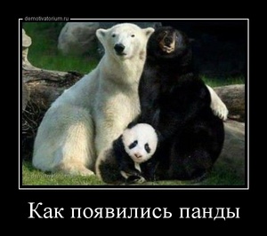 tmb_1105131634018827.jpg
