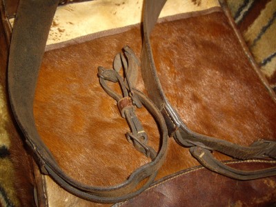 77.jpg