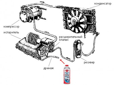 p374.jpg