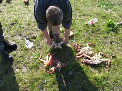 IMG_2130.JPG