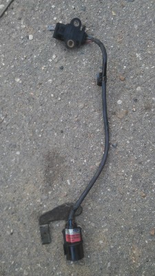 IMAG0431.jpg