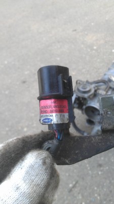 IMAG0432.jpg