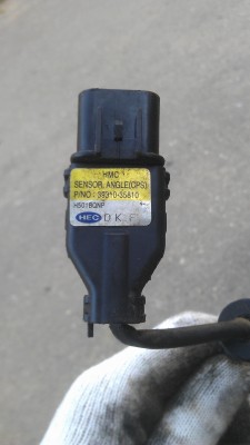IMAG0433.jpg
