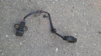 IMAG0434.jpg