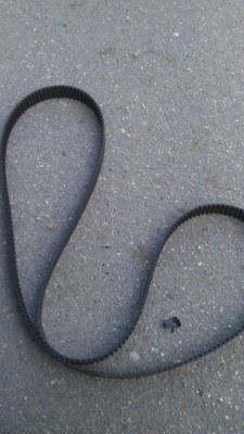 IMAG0444.jpg