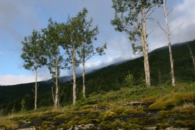 рыбная остров2.jpg