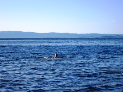 Моржи1.jpg