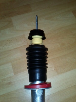 IMG280.jpg