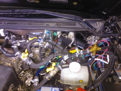 WP_000374.jpg