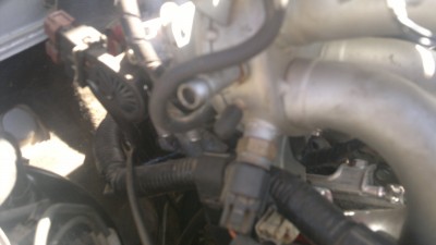 2013-08-23-094.jpg