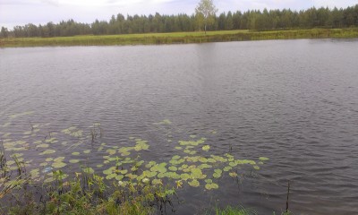 IMAG0175.jpg