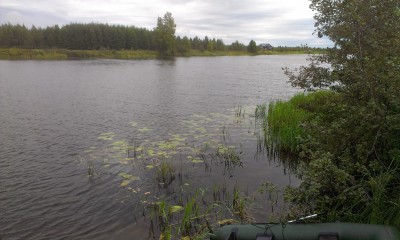 IMAG0176.jpg