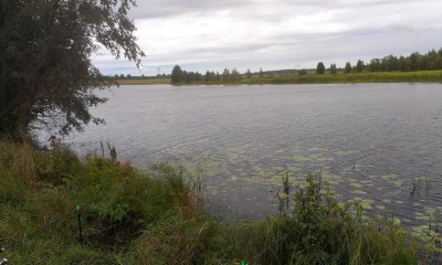 IMAG0177.jpg