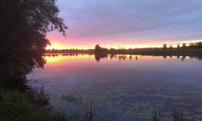 IMAG0178.jpg