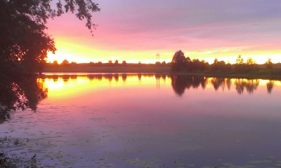 IMAG0179.jpg