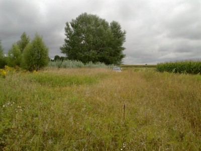 25082013067.jpg