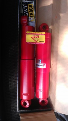 IMAG0384.jpg